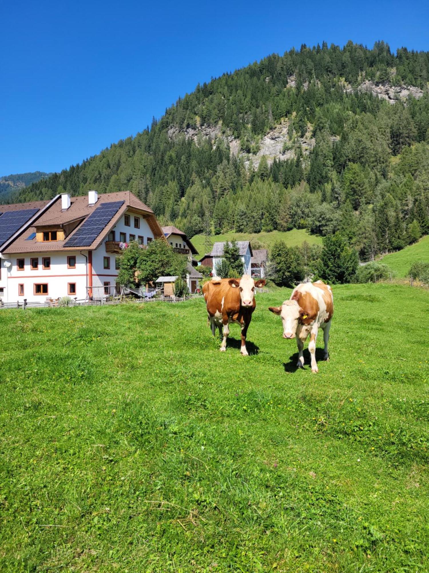 Apartamento Unterlanschützhof Sankt Michael im Lungau Exterior foto